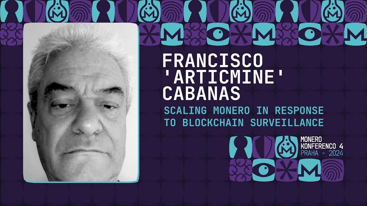 Scaling Monero in Response to Blockchain Surveillance