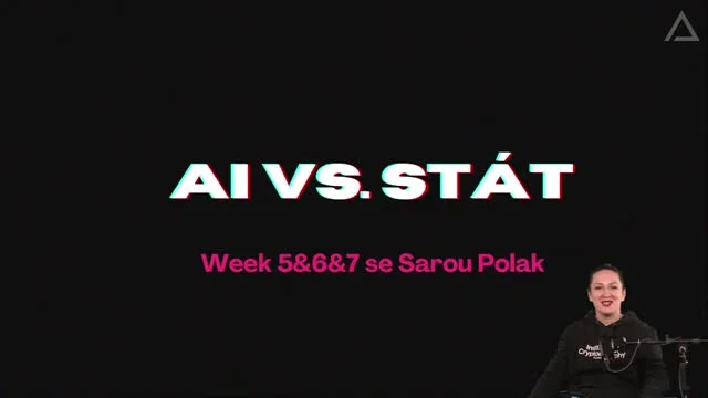 Na hraně chaosu: AI vs. Stát 2/2